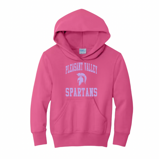 NEW! Hoodie - Youth - School Spirit