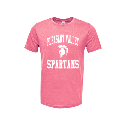 NEW! SS Tee - Youth - School Spirit