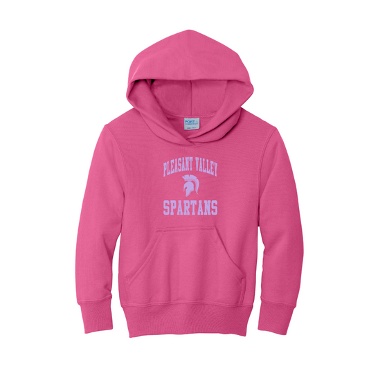 NEW! Hoodie - Youth - School Spirit